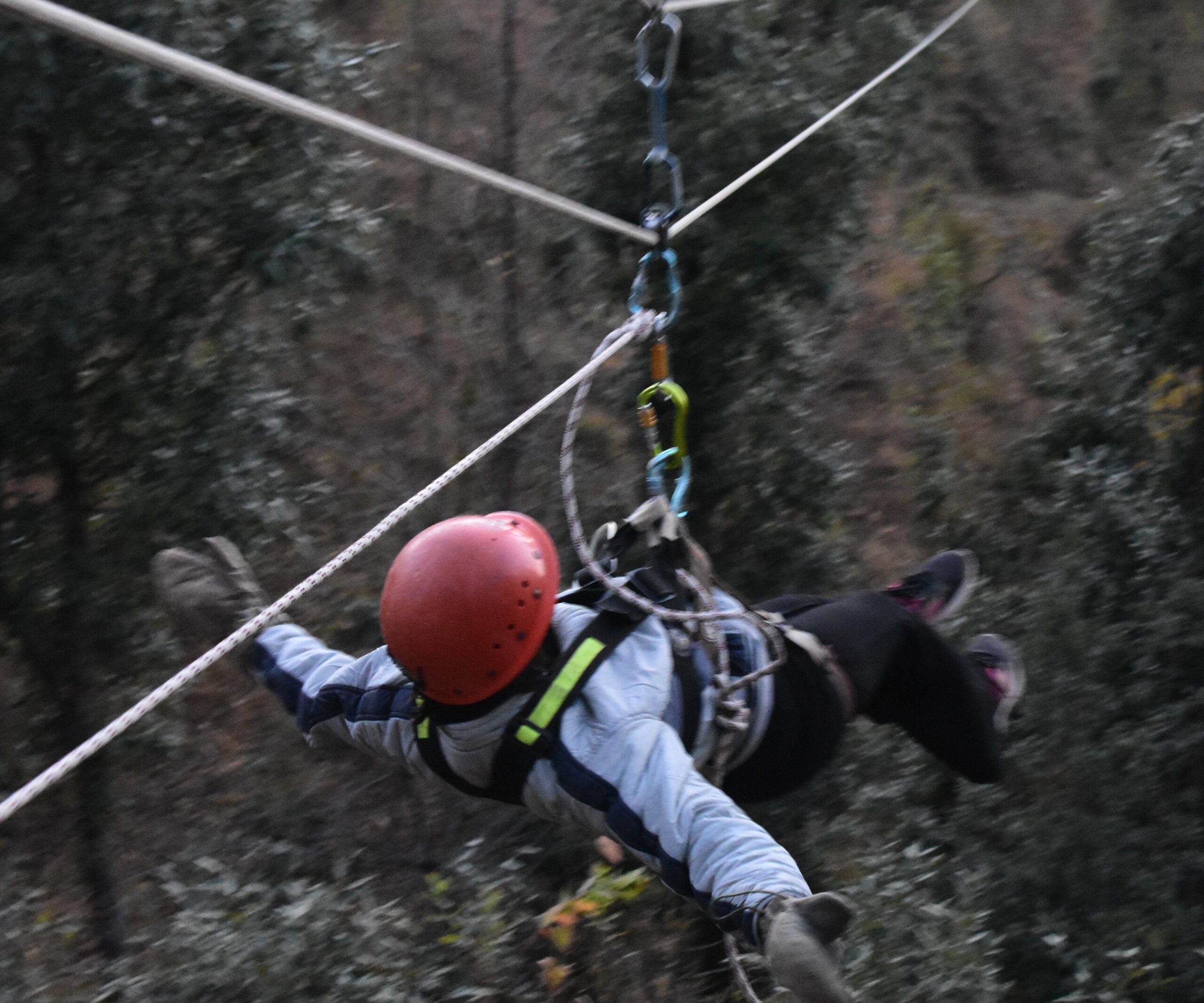 DSC_0514-scaled